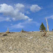 SouthernSierra 661 : SouthernSierra